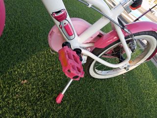 Bicicleta niña 4,5,6 años