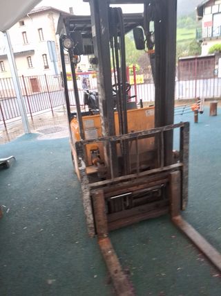 Grua salvaje del medio oeste