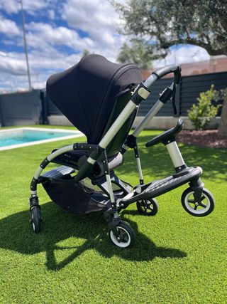 Bugaboo bee