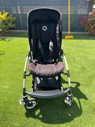 Bugaboo bee