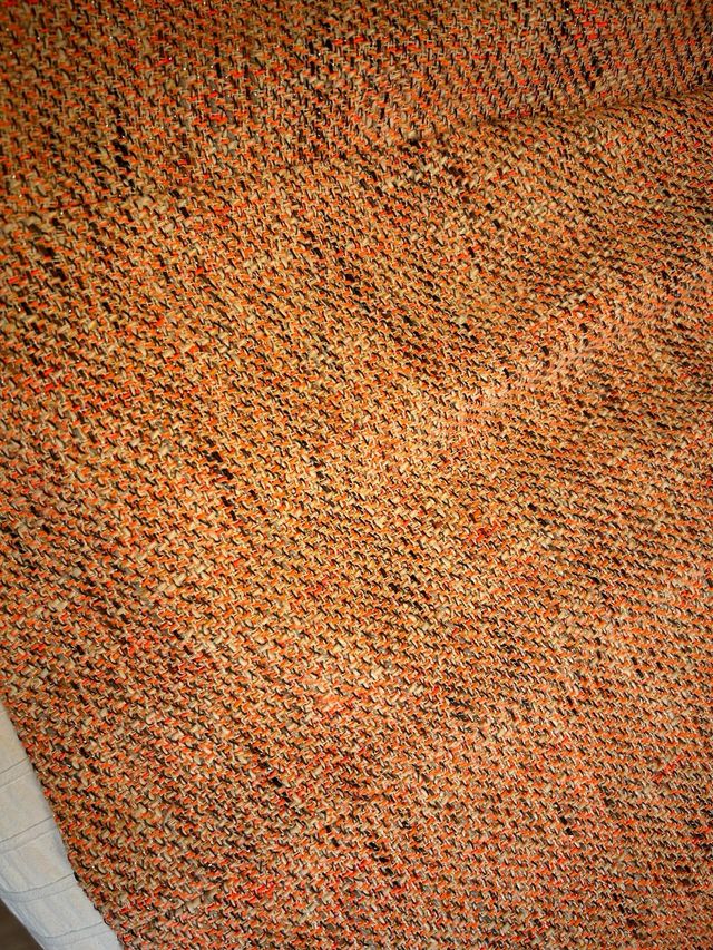 Abrigo de Paul Joe Sister