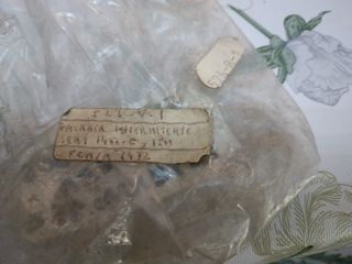 Indicador intermitente Seat 1500