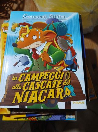 In campeggio alle cascate del Niagara