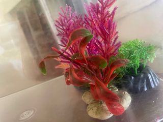 Kit de pecera con bomba de aire/ plantas art/comida/ liquido para pecera