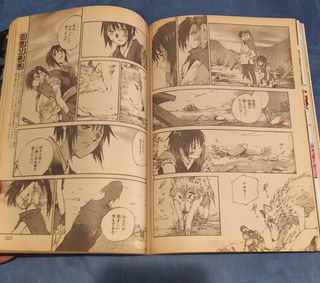 Manga original de Japón.