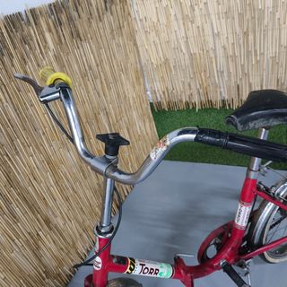 Bicicleta torrot