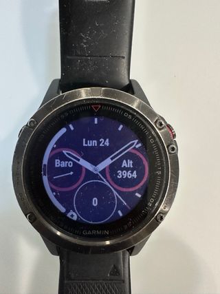 Reloj inteligente Garmin Fenix 5