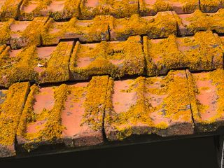 Tejas alicantinas usadas