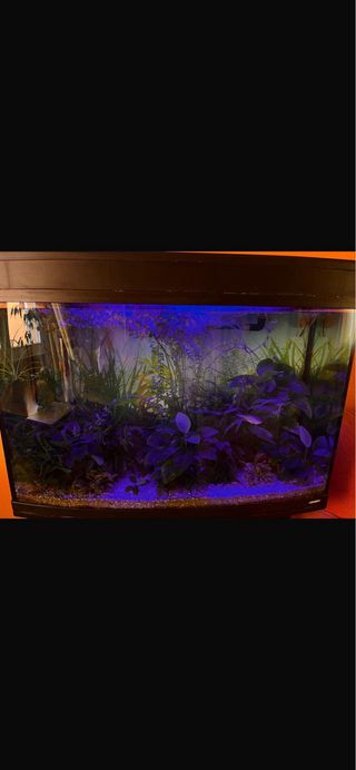 Acuario 240 L y mueble con ruedas+ todos los Acc