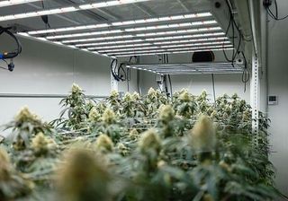 Pantallas led 720w Samsung indoor