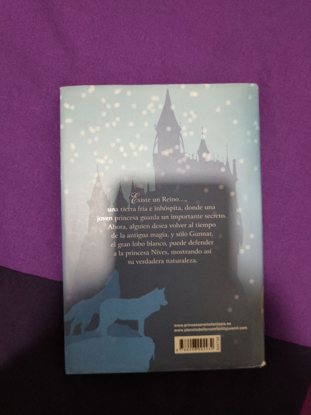 Princesa de los Hielos: Princesas del Reino de ...