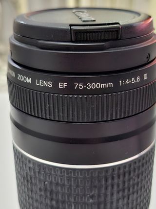 Objetivo de Canon EF 75-300 mm f/4-5.6 III