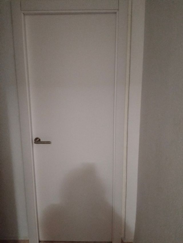 Puerta interior nueva