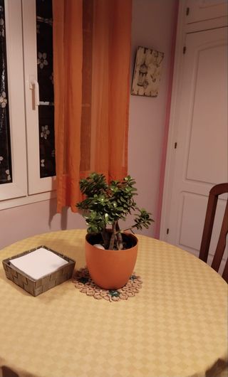 Mantel redondo naranja