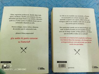 Saga de Rebeca Stones .