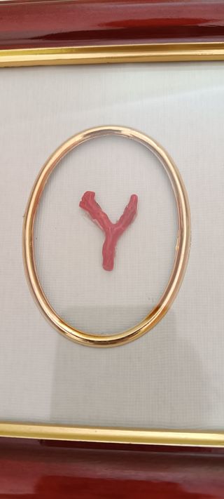 QUADRETTO AMULETO FORTUNA VERO CORALLO ROSSO