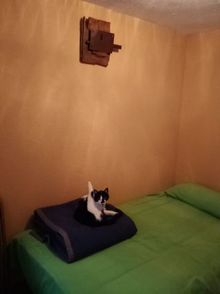 Cerradura de forja antigua sobre madera