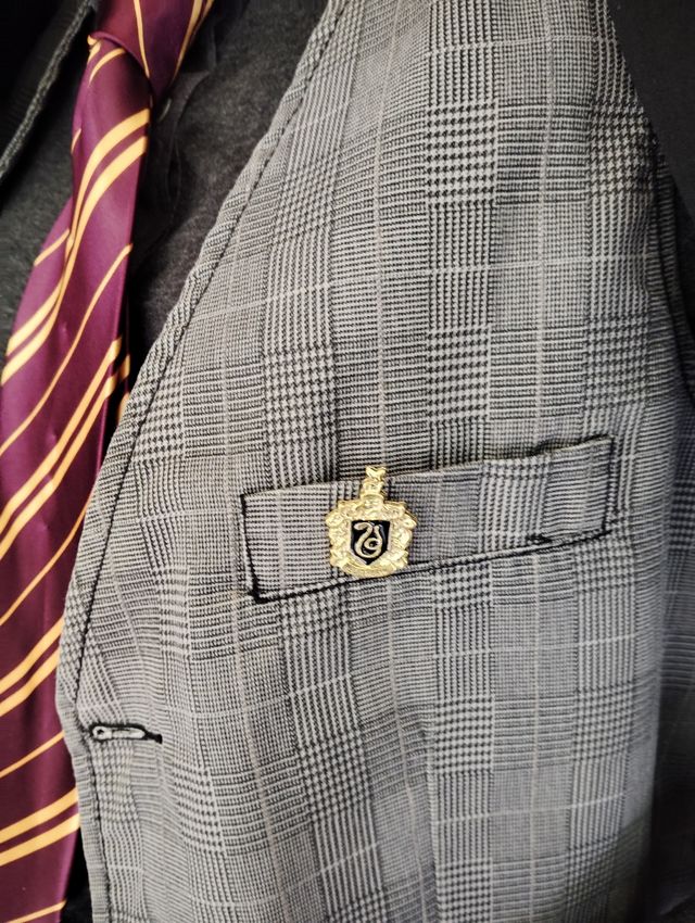 Disfraz de Harry Potter