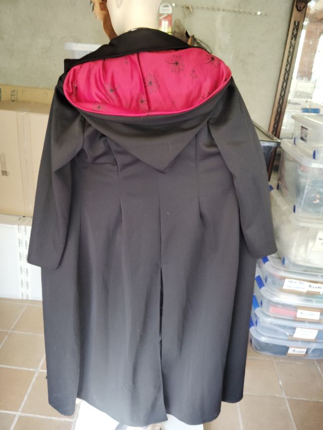 Disfraz de Harry Potter