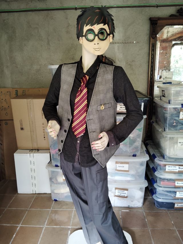 Disfraz de Harry Potter