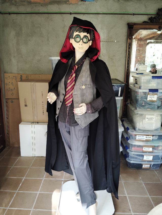 Disfraz de Harry Potter