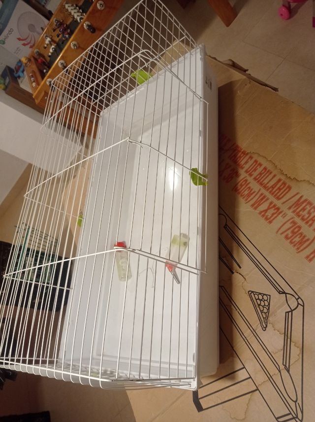 Jaula cobaya o conejo perfecta.