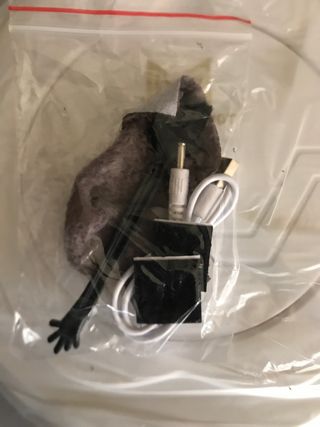 Rumba clean robot dust suction type