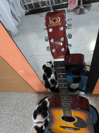 Guitarra acústica kobrat