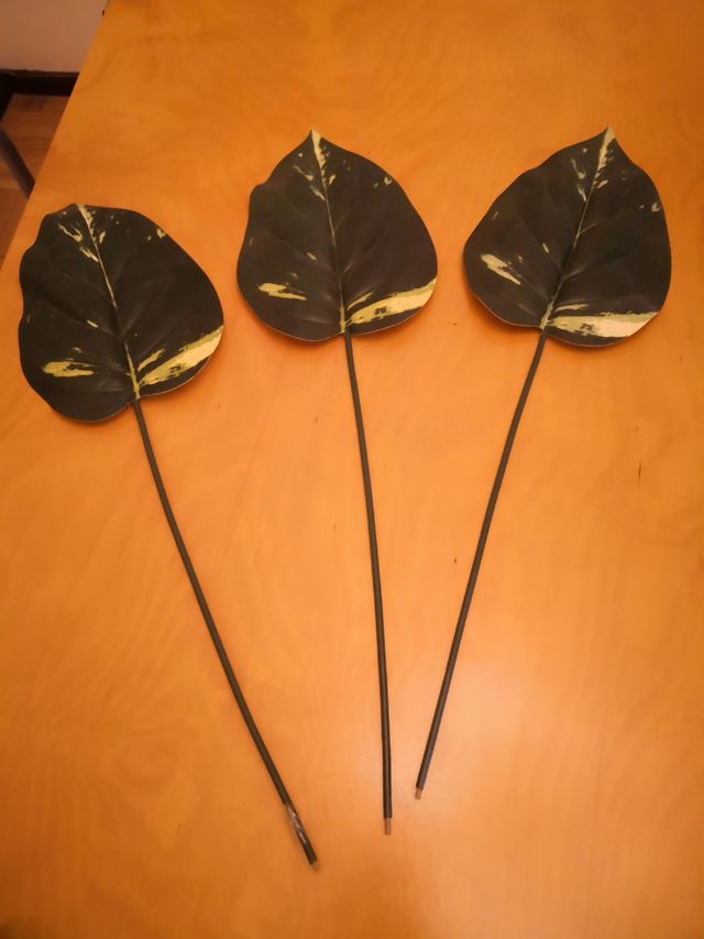 Conjunto de hojas artificiales. Nuevo