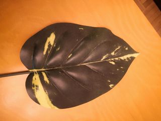 Conjunto de hojas artificiales. Nuevo