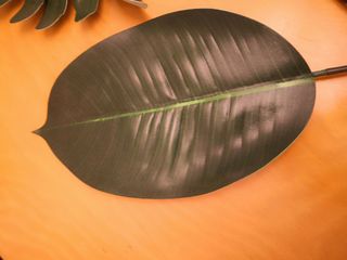 Conjunto de hojas artificiales. Nuevo