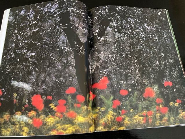 Revista francesa Double Page