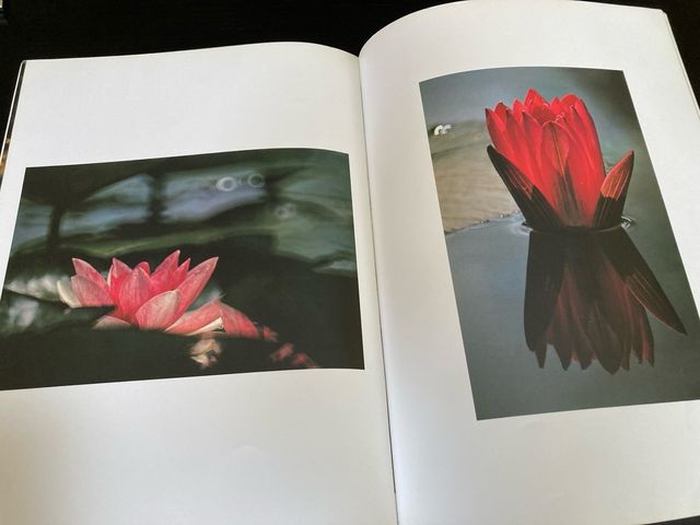 Revista francesa Double Page