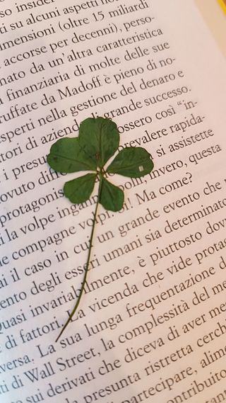 Idea regalo! Pentafoglio porta fortuna