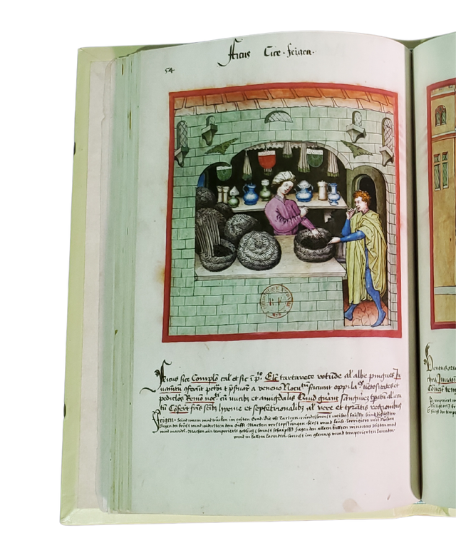 Tacuinum Sanitatis Facsímil - M. Moleiro