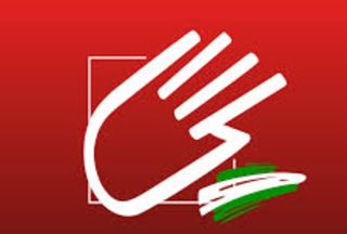 Fisioterapia a domicilio.