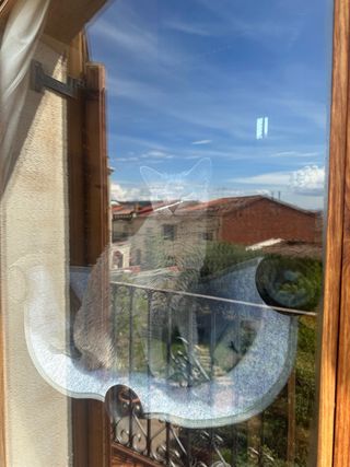 Hamaca ventana gato gris