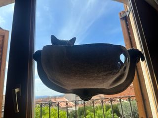 Hamaca ventana gato gris