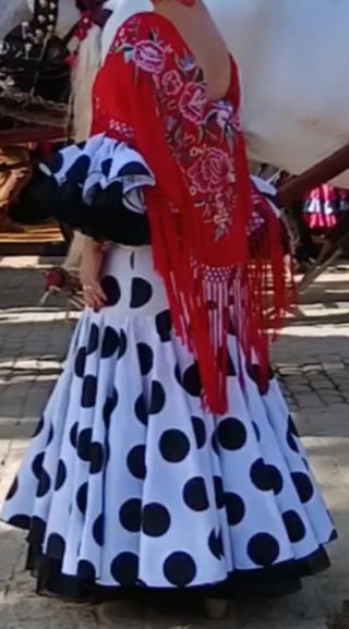 Traje flamenca 