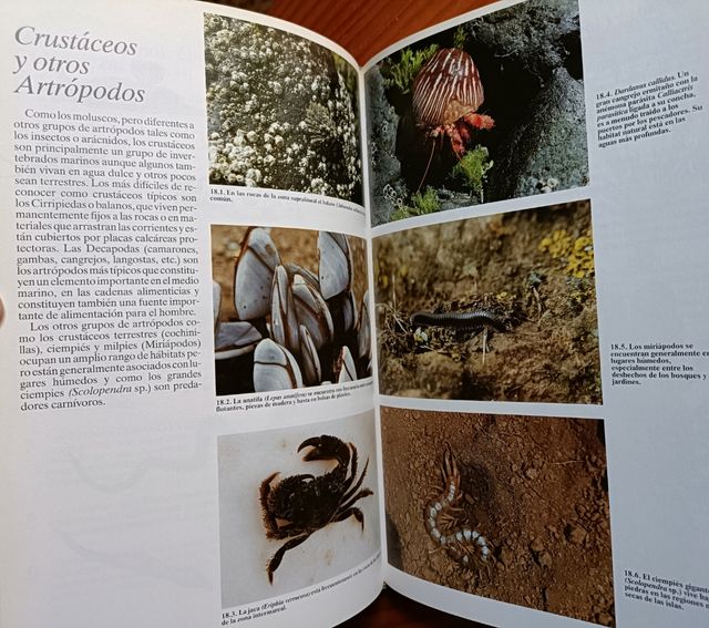 HISTORIA NATURAL DE LAS ISLAS CANARIAS GUIA BASICA