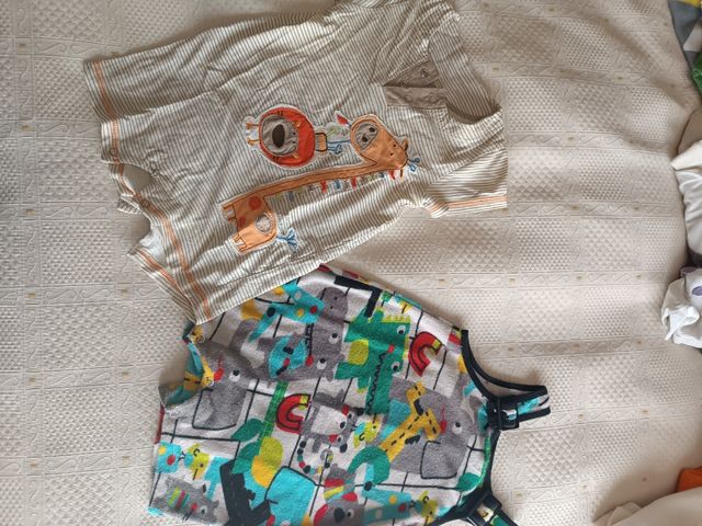 Lote ropa T.12meses
