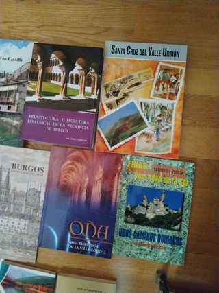 Historia y monumentos de Burgos y provin