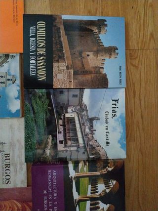 Historia y monumentos de Burgos y provin