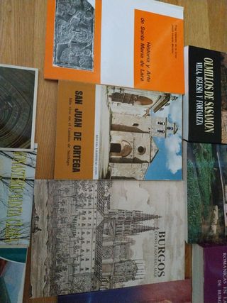 Historia y monumentos de Burgos y provin