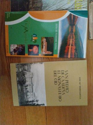 Historia y monumentos de Burgos y provin