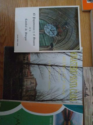 Historia y monumentos de Burgos y provin