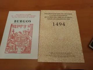 Historia y monumentos de Burgos y provin