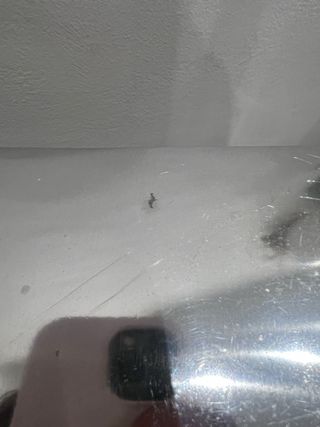 Tavolini acciaio - Moderni