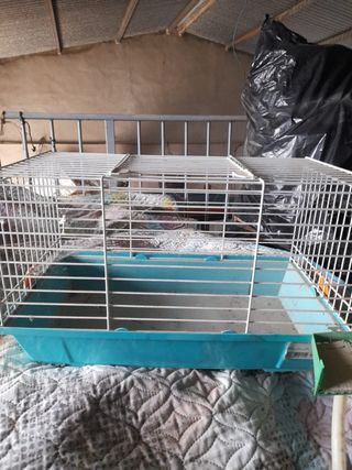 Jaula Hamster/ Cobayas Azul y Blanca