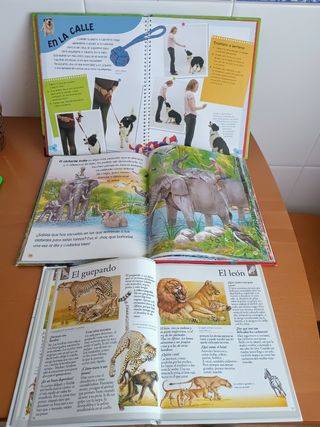 Lote de tres libros de animales